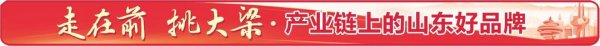 申捷策略 齐鲁石化：产销研用，小胶粒赢大市场